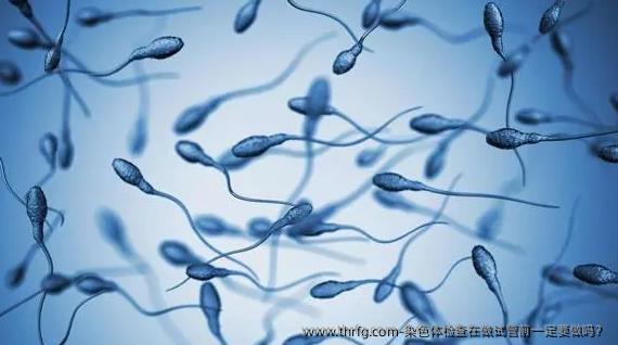 染色体检查在做试管前一定要做吗?