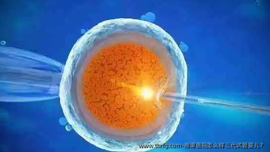 湘潭医院怎么样三代试管婴儿？