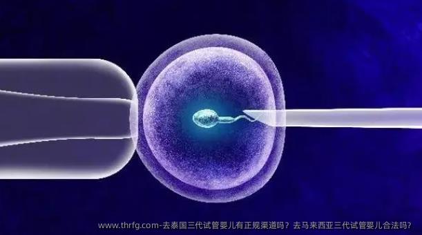 去泰国三代试管婴儿有正规渠道吗？去马来西亚三代试管婴儿合法吗？