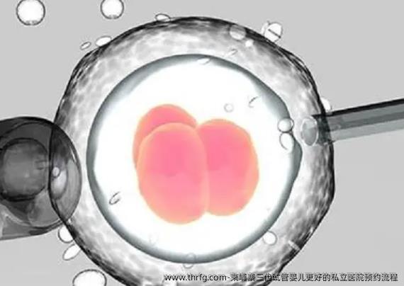 柬埔寨三代试管婴儿更好的私立医院预约流程