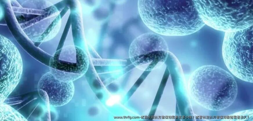 试管长效长方案促排需要花多少钱？试管长效长方案促排最短需要多久？