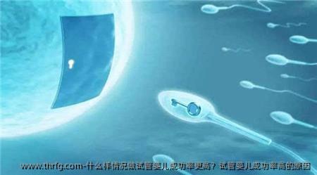 什么样情况做试管婴儿成功率更高？试管婴儿成功率高的原因