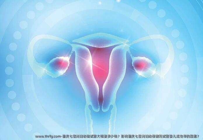 重庆七星岗妇幼做试管大概要多少钱？影响重庆七星岗妇幼保健院试管婴儿成功率的因素？