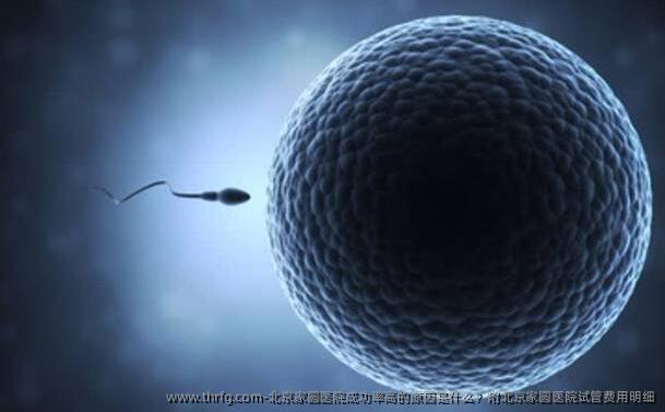 北京家圆医院成功率高的原因是什么？附北京家圆医院试管费用明细