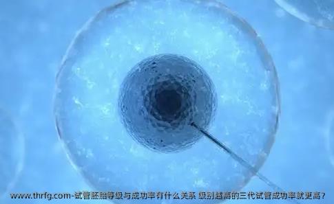 试管胚胎等级与成功率有什么关系 级别越高的三代试管成功率就更高？