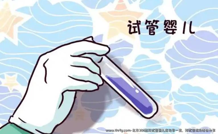 北京306医院试管婴儿成功率一览，附试管成功经验分享