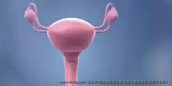 山东齐鲁医院和省立医院哪个医院做试管成功率高?