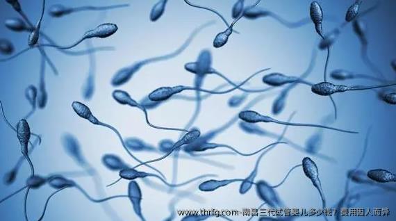 南昌三代试管婴儿多少钱？费用因人而异