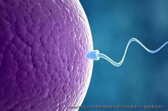 杭州医院怎么样三代试管婴儿？流程复杂吗？