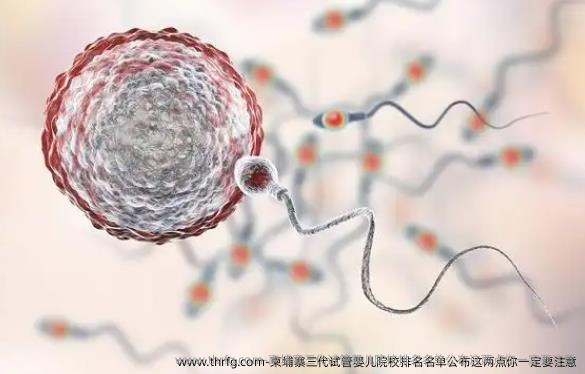 柬埔寨三代试管婴儿院校排名名单公布这两点你一定要注意