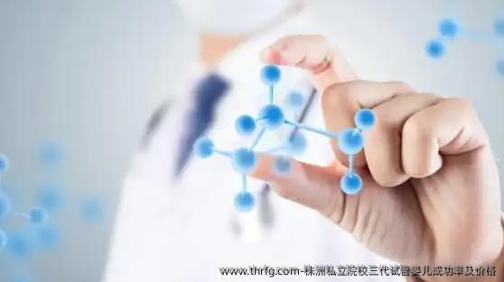 株洲私立院校三代试管婴儿成功率及价格