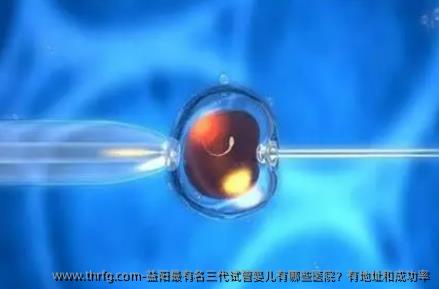 益阳最有名三代试管婴儿有哪些医院？有地址和成功率