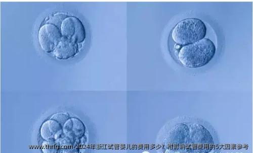 2024年浙江试管婴儿的费用多少？附影响试管费用的5大因素参考