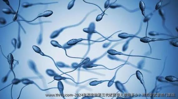 2024年西安做第三代试管婴儿费用多少？附西安试管热门医院