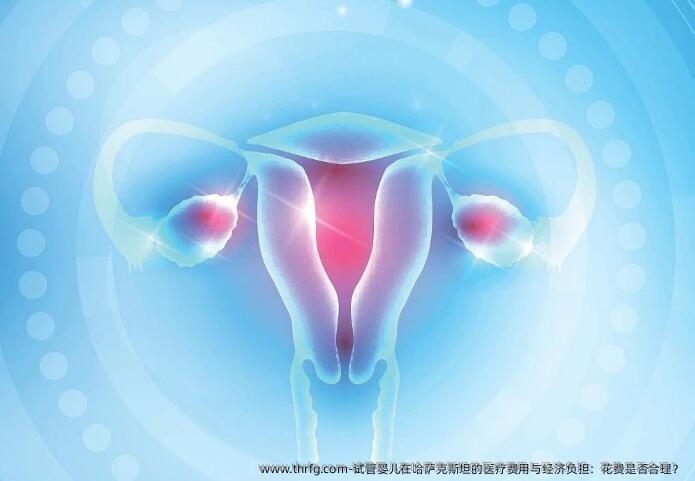 试管婴儿在哈萨克斯坦的医疗费用与经济负担：花费是否合理？ 
