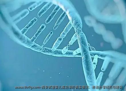 西安试管婴儿成功率的真实情况：患者分享经历与建议 