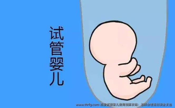 西安试管婴儿费用预算攻略：怎样合理规划资金支出 