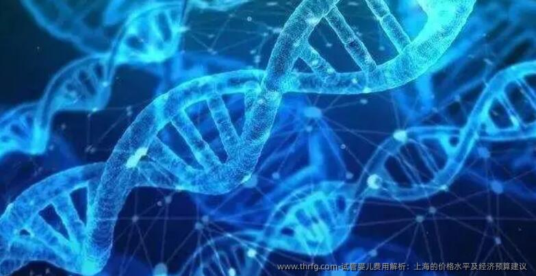 试管婴儿费用解析：上海的价格水平及经济预算建议 