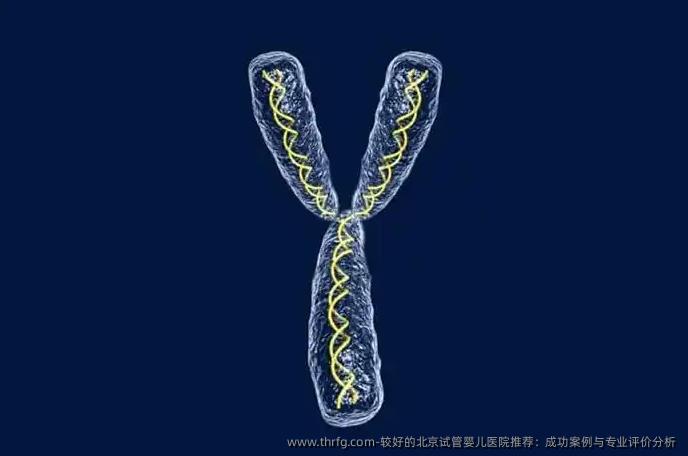 较好的北京试管婴儿医院推荐：成功案例与专业评价分析 
