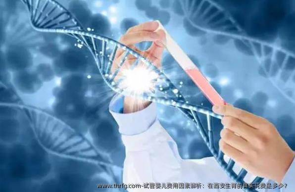 试管婴儿费用因素解析：在西安生育的真实花费是多少？ 