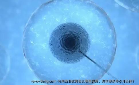 马来西亚试管婴儿费用详解：总花费是多少才合理？ 