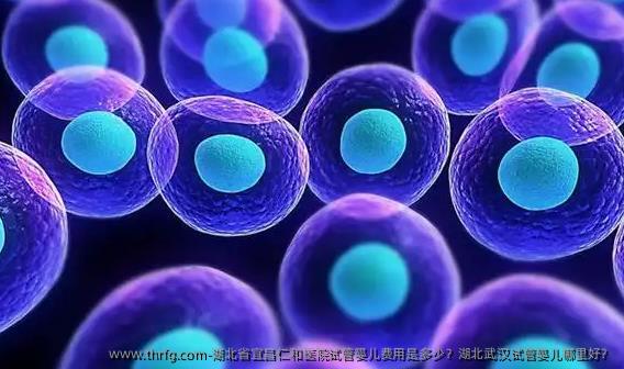 湖北省宜昌仁和医院试管婴儿费用是多少？湖北武汉试管婴儿哪里好？