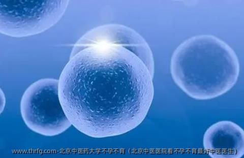 北京中医药大学不孕不育（北京中医医院看不孕不育较好中医医生）