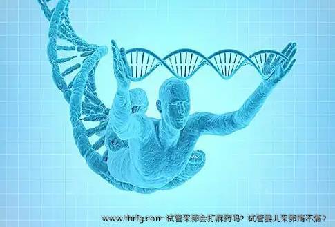 试管采卵会打麻药吗？试管婴儿采卵痛不痛？