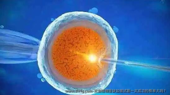 双侧输精管缺如做试管初次成功的概率大吗？
