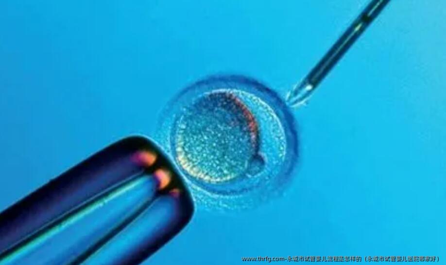 永城市试管婴儿流程是怎样的（永城市试管婴儿医院哪家好）