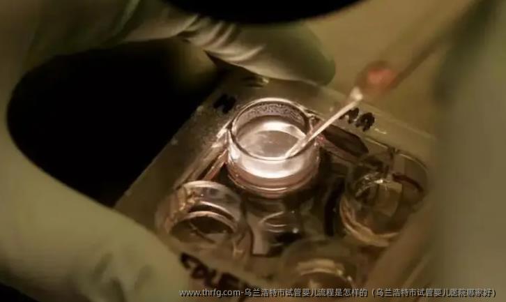 乌兰浩特市试管婴儿流程是怎样的（乌兰浩特市试管婴儿医院哪家好）