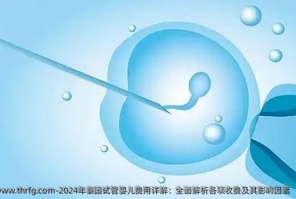2024年泰国试管婴儿费用详解：全面解析各项收费及其影响因素