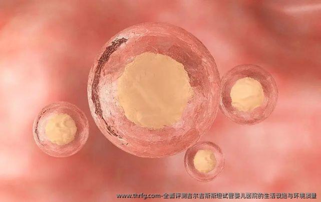 全面评测吉尔吉斯斯坦试管婴儿医院的生活设施与环境质量