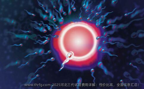 2025河北三代试管费用详解：性价比高，全面信息汇总！