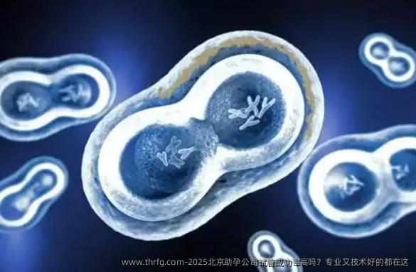 2025北京助孕公司试管成功率高吗?专业又技术好的都在这