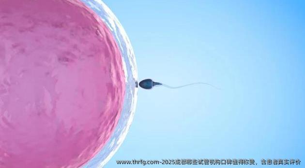 2025成都哪些试管机构口碑值得称赞，含患者真实评价