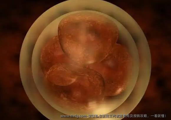 深圳私立医院三代试管费用及报销攻略，一看就懂！