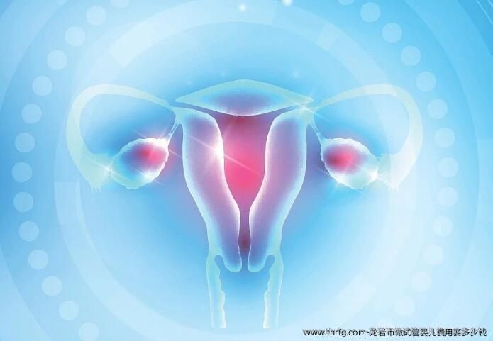 龙岩市做试管婴儿费用要多少钱