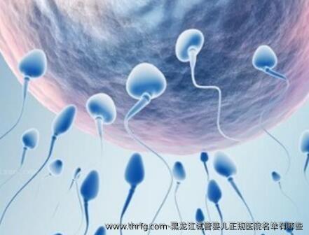 黑龙江试管婴儿正规医院名单有哪些？