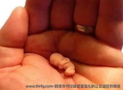 鹤壁市可以做试管婴儿的公立医院有哪些