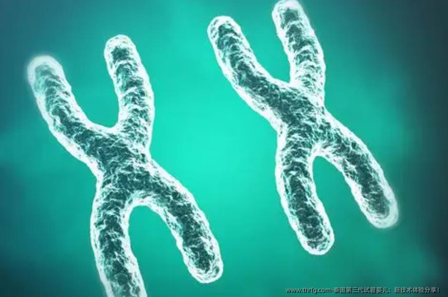 泰国第三代试管婴儿:新技术体验分享!