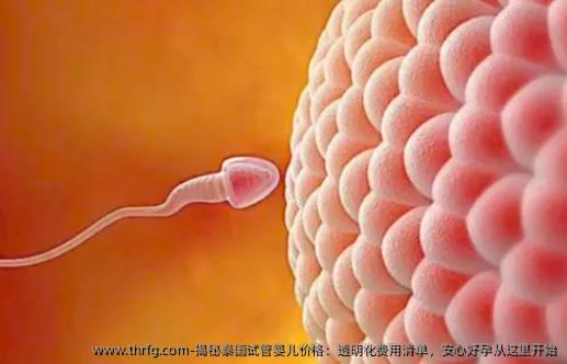 揭秘泰国试管婴儿价格:透明化费用清单,安心好孕从这里开始