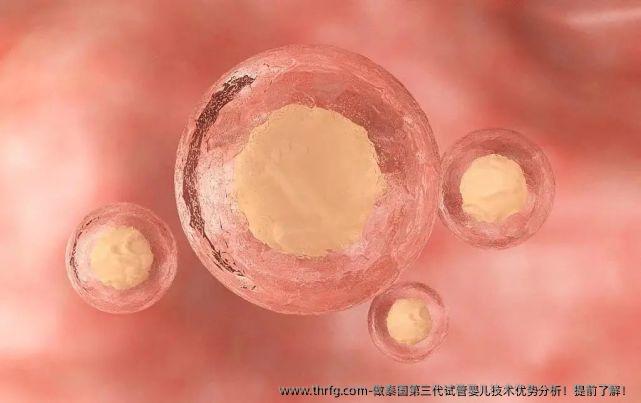 做泰国第三代试管婴儿技术优势分析！提前了解！