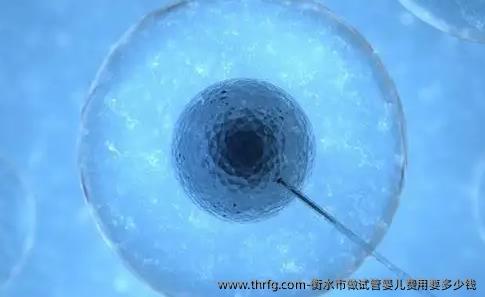 衡水市做试管婴儿费用要多少钱