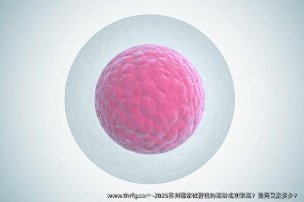 2025苏州哪家试管机构高龄成功率高？费用又是多少？