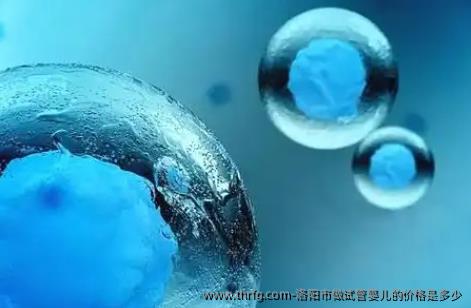 洛阳市做试管婴儿的价格是多少