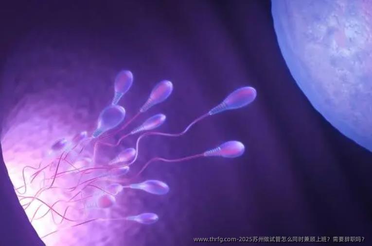 2025苏州做试管怎么同时兼顾上班?需要辞职吗?