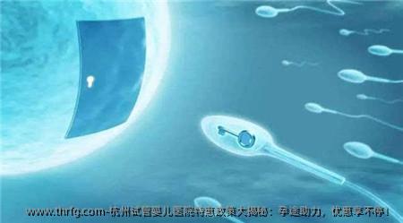 杭州试管婴儿医院特惠政策大揭秘：孕途助力，优惠享不停！