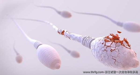 浙江试管初次成功率有多高