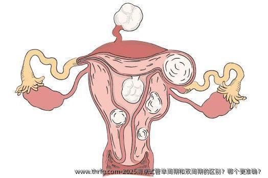 2025南京试管单周期和双周期的区别？哪个更准确？